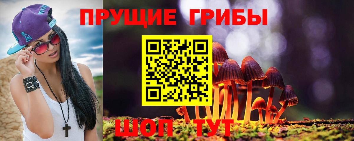 Лабытнанги  сколько стоит  Вход с VPN  Псилоцибиновые грибы Cubensis  Галлюциногенные грибы Magic Shrooms 