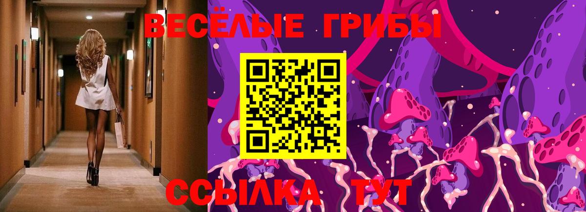Галлюциногенные грибы мухоморы Лабытнанги